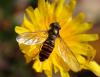 327803 – Photo : Catherine Reymonet-Smitten – France (19)